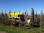 NFO toont lef met Ambitie Plantgezondheid